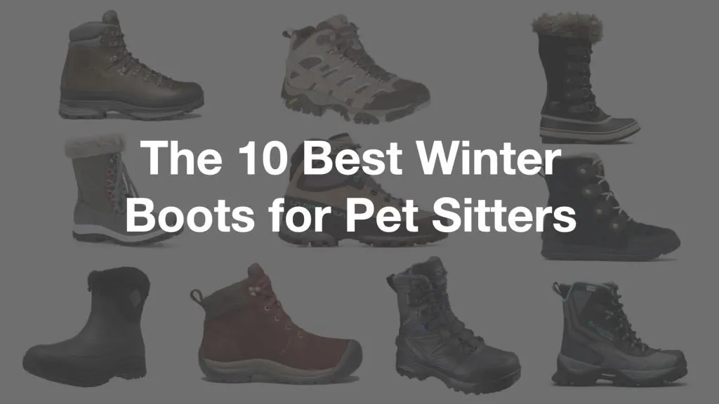 Best winter hot sale dog walking boots